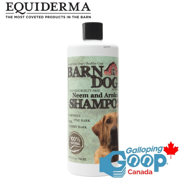 521 - Equiderma Shampooing Barn Dog 